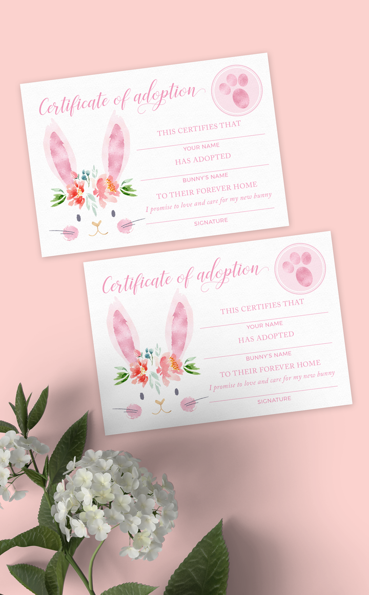 Pink bunny adoption certificates for girl bunny birthday party