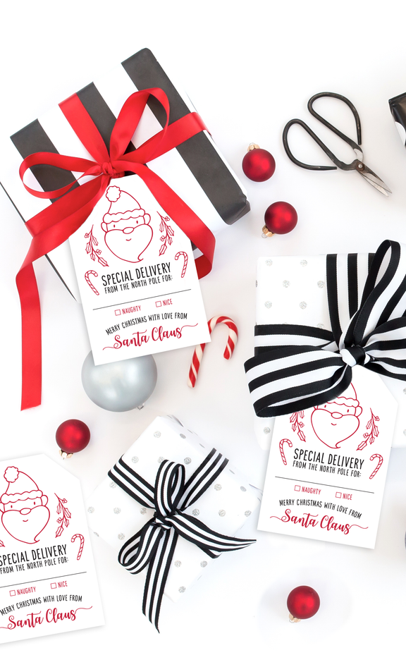 Special Delivery from Santa Printable Christmas Gift Tags – ARRA Creative