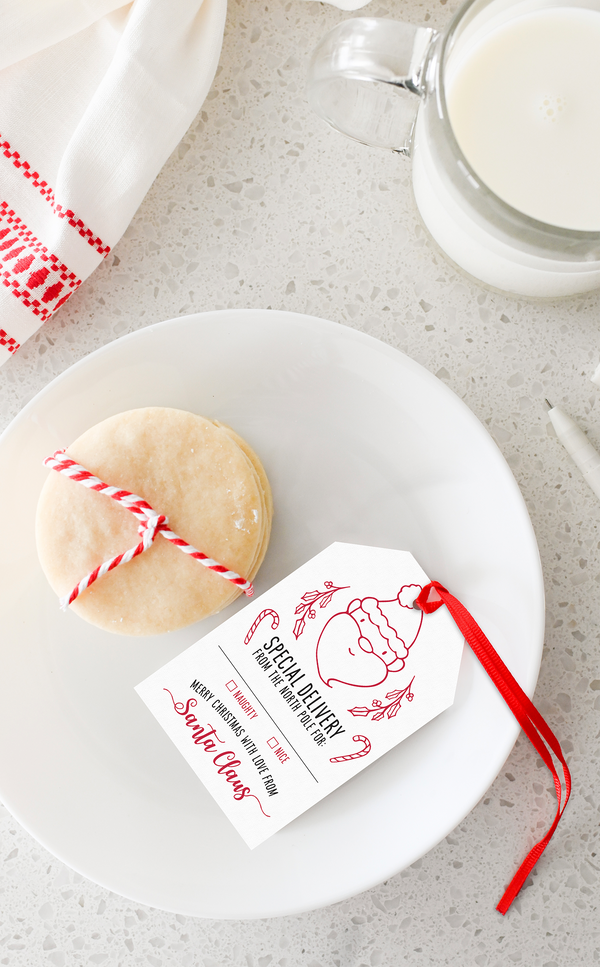 Christmas Gift Tags | Special Delivery from Santa Claus Gift Tags for Kids